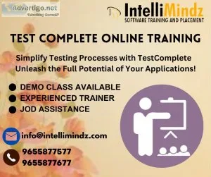 Testcomplete online training
