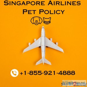 Know about singapore airlines pet policy : book flight now