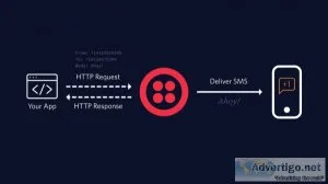 Bulk sms service: the ultimate small business guide [2023]