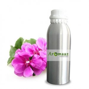 Get the benefits of rose geranium essential oil - aromaaz intern