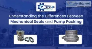 Understanding the differences between mechanical seals and pump 