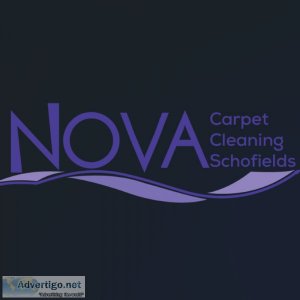 Reliable carpet cleaning services in schofields