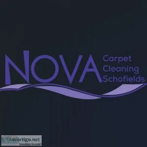Reliable carpet cleaning services in schofields
