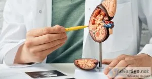 Best kidney doctor to cure kidney stone