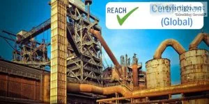 Get reach certification in india