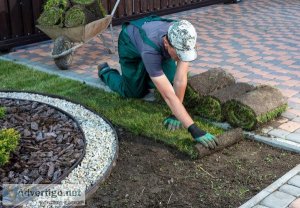 Small space landscaping: maximizing the potential of tiny yards