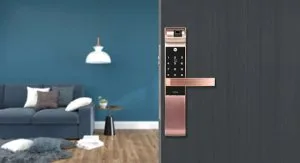 Why does your family need a smart lock?
