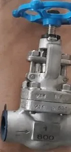 Forged steel globe valve in uae