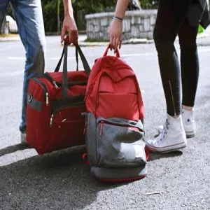 Best bag brands in india