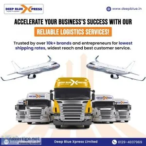 Worldwide shipping services for seamless cargo transport
