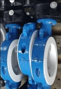 Wafer butterfly valve manufacturer in india