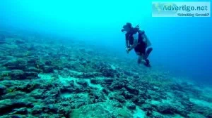 Top scuba diving at andaman islands