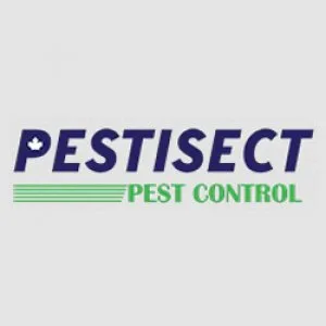 Pest control services in brampton