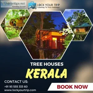 Delightful tree house resorts in kerala for staggering regular p