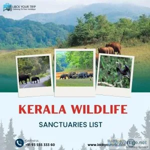 Natural life asylums in kerala that exhibit south india s colorf