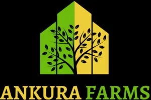 Managed farmland near bangalore | farmland near bangalore