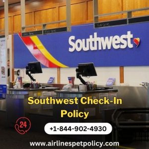 How to check in for southwest flight