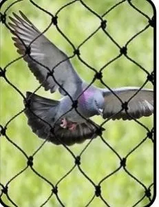 Pigeon safety nets bangalore