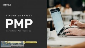 Achieve excellence: pmp certification training essentials
