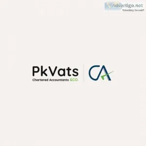 Income tax consultant in delhi
