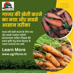 New and easiest way to cultivate carrots