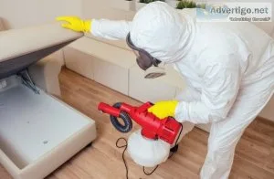 Rest easy with our top bed bug pest control singapore