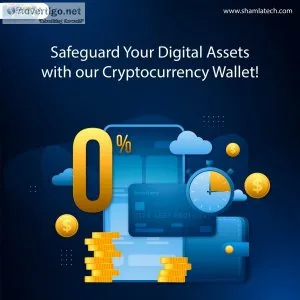 Cryptocurrency wallet development
