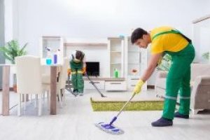 Omestic high end cleaning services in west end