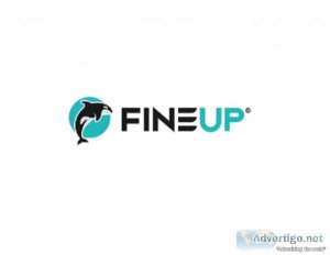 Shenzhen fineup industrial co, ltd