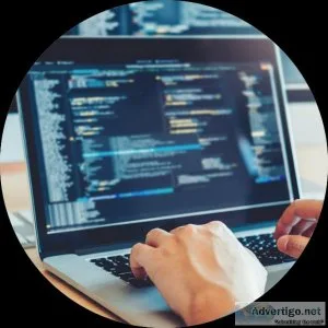 Visa management services