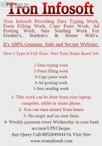 Part time home based data entry typing jobs