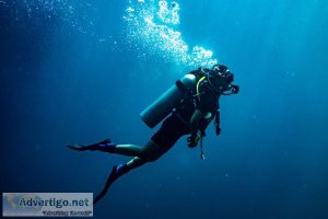 Top scuba dive sites at andaman islands