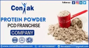 Top protein powder pcd company