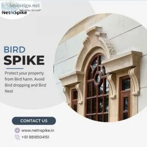 Bird spike