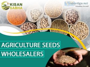 Premium agriculture seeds wholesalers: partnered with kisan sabh