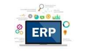 Delight erp software services