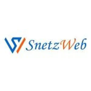 Best Software Development Company in Ahmedabad | Snetzweb