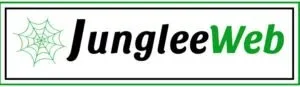 Top digital marketing company in india