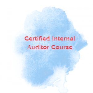 Guidance for certified internal auditor course from aia