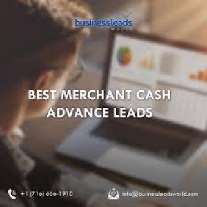 Merchant cash advance leads