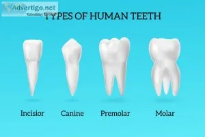 Cheap dental clinic in satwa