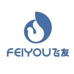 Feiyou amusement