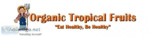 Exquisite organic fruit gift box: a taste of tropical paradise