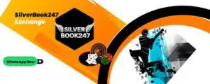 Silverbook247 login: exposing its numerous advantages for intern