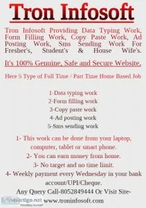 Part time home based data entry typing jobs
