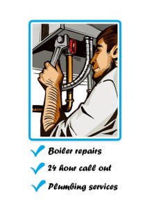 Domestic plumbing repair