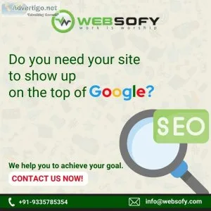 Best seo service in lucknow - websofy software pvt ltd