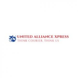 International cargo services in delhi: united alliance xpress, y