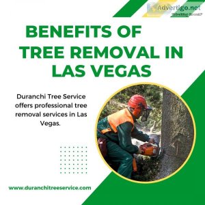 Benefits of tree removal in las vegas