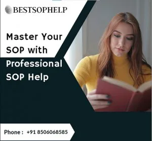Master your sop with professional sop help